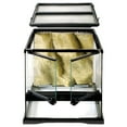 thumbnail image 2 of Exo Terra Glass Terrarium - 12in x 12in x 12in, 2 of 2