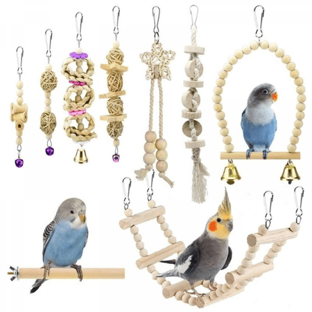 Parrot Toxic Free Toys