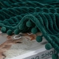 thumbnail image 2 of DISSA Flannel Fleece Blankets with Pompom Fringe Lightweight Soft Throw Blanket Fit Sofa Bed(Green,51x63"), 2 of 9