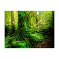 thumbnail image 3 of Tiptophomedecor Landscape Wallpaper Wall Mural - Jungle, 3 of 4