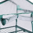 thumbnail image 4 of Palm Springs 27" x 19" x 49" Mini Greenhouse, 4 of 5