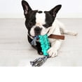 thumbnail image 4 of Juguetes para masticar con cuerda para perros, cepillo de dientes, palo de limpieza para perros pequeños y medianos, cepillo de dientes para razas pequeñas, Indestructible, 4 of 4