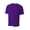 PURPLE, variant on A4 N3393 Mens SureColor Short Sleeve Cationic Tee - Forest - M