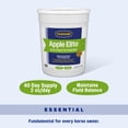 thumbnail image 4 of Polvo electrolítico Farnam Apple Elite 2,3 kg para caballos, 4 of 9
