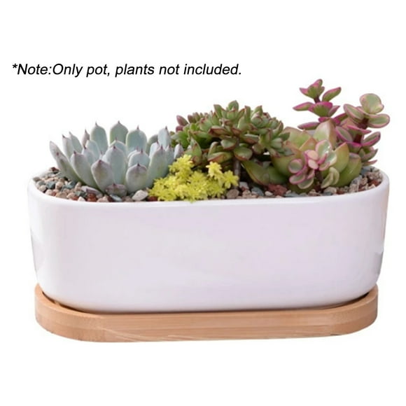 White Elliptic Ceramic Flower Pot with Bamboo Tray Succulent Plant Pot for Table Desk Decoration