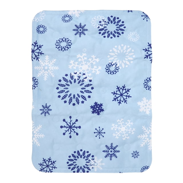 Almohadilla De Hielo Para Silla, Cojín De Asiento De Hielo, Caja Fuerte Para Refrigerador Para Estudiantes Para Coche