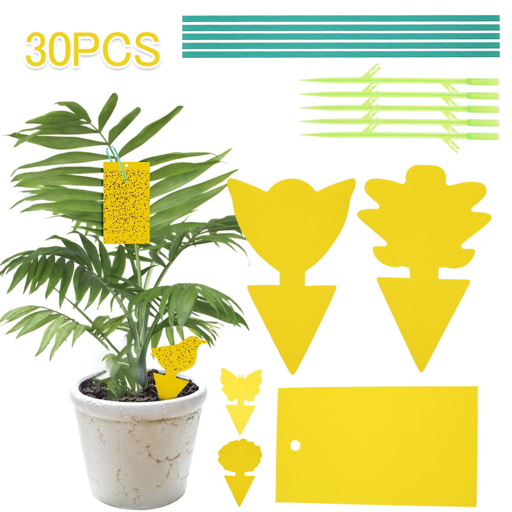 Details about   Lot Greenhouse Yellow Blue Sticky Insect Traps Fly Glue Catcher Pest Killer RM19 