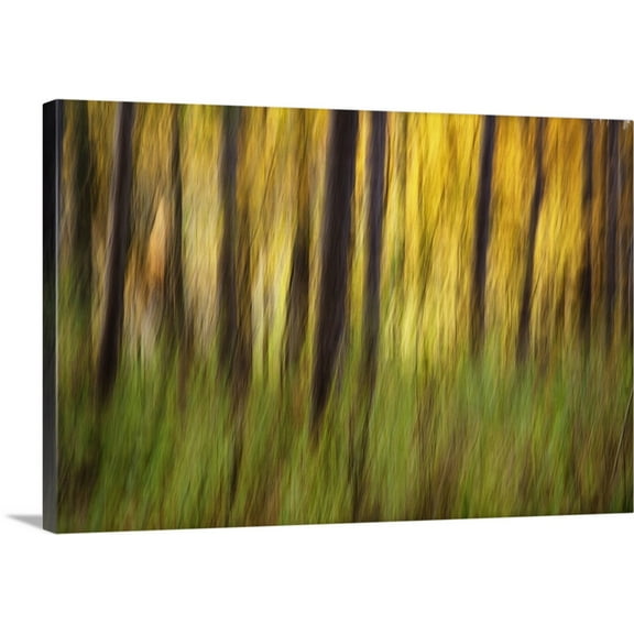 Great BIG Canvas | "Fall color with trees blurred" Canvas Wall Art - 24x16