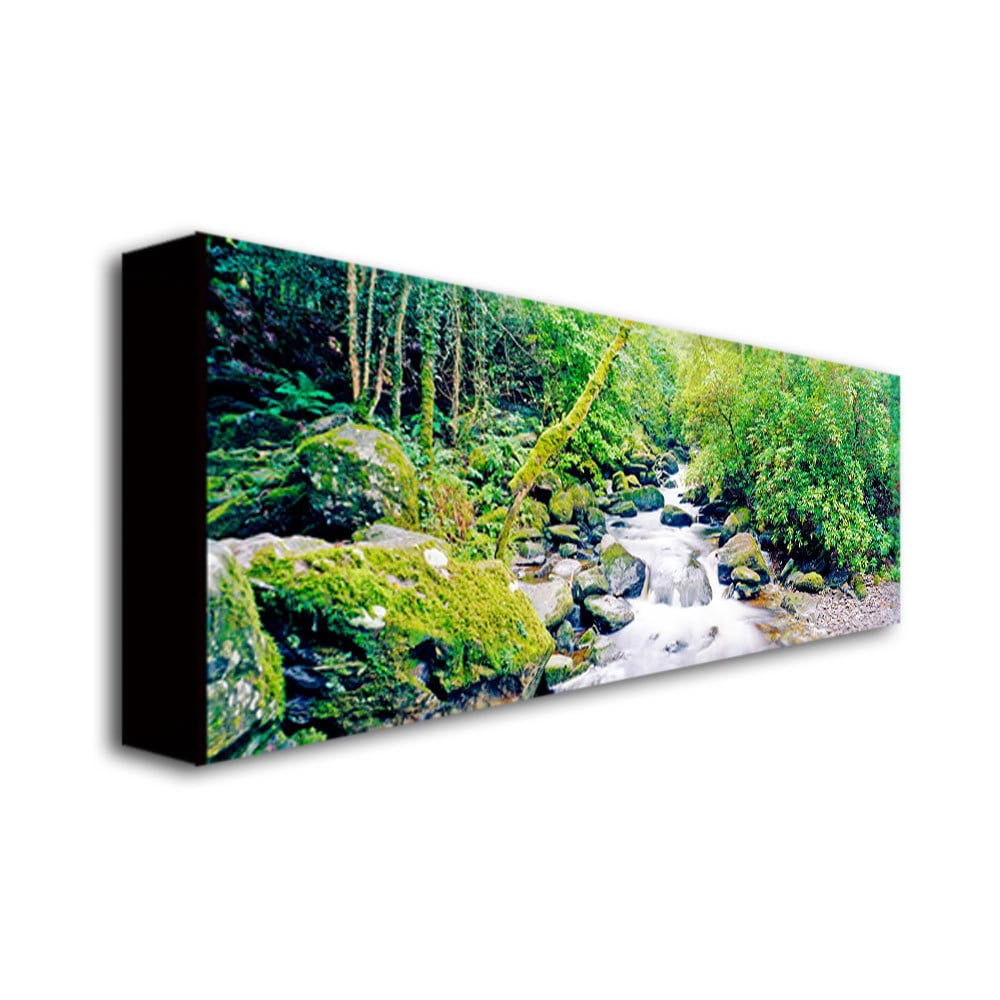 Trademark Art "Ireland Green" Canvas Wall Art by Preston