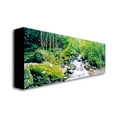 thumbnail image 3 of Trademark Art "Ireland Green" Canvas Wall Art by Preston, 3 of 3