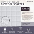 thumbnail image 3 of Lincove All - Season White Goose Down Comforter Full, 3 of 5