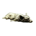 thumbnail image 2 of deevoka Brass Small Welsh Corgi Puppy Statue 8.2x3.1x1.5cm for Side Table Collection, 2 of 9