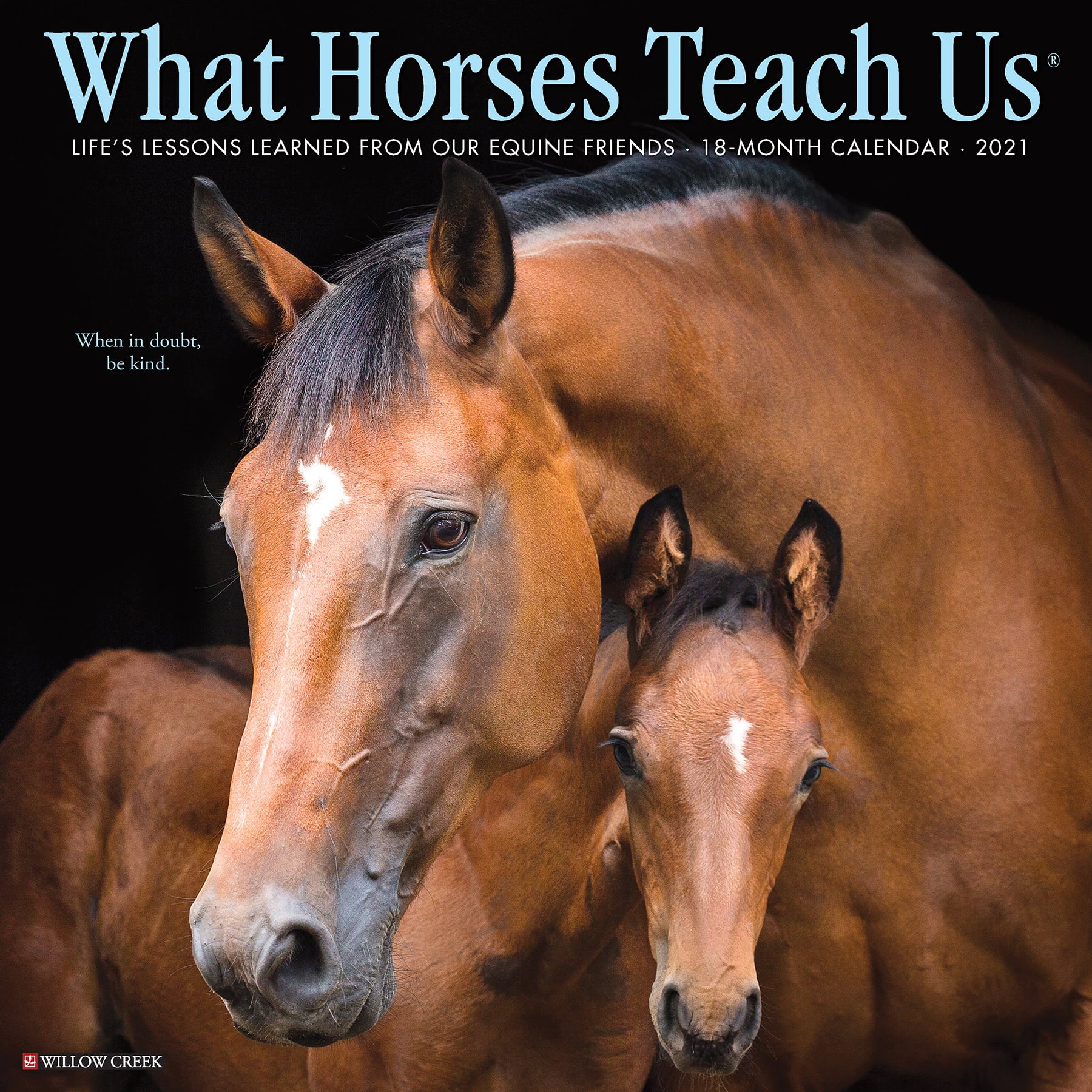 Willow Creek Press 2021 What Horses Teach Us Wall Calendar Walmart