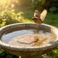 thumbnail image 4 of Copper Cleaning Disk Copper Plate Cleaning Accessoryc Outdoor Garden Insert for Clean Water All Season, 4 of 9