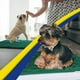 thumbnail image 4 of Muddy Mat® AS-SEEN-ON-TV Tapete para puerta y alfombra para mascotas de microfibra altamente absorbente, área lavable gruesa antideslizante y tapete de baño de chenilla suave para cocina, baño, dormit, 4 of 5