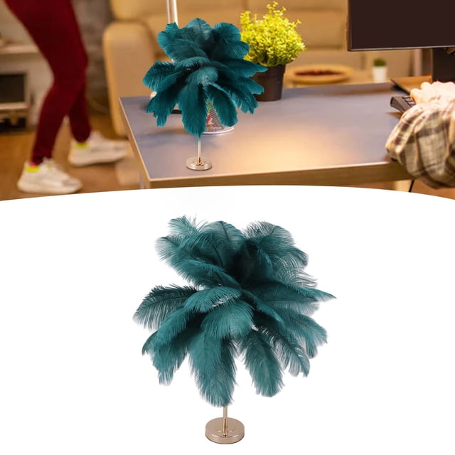 Ostrich Feather Table Lamp, 30PCS Feathers 3 Color Dimming Cordless USB Rechargeable Touch Control Desk Night Light, Modern Decorative Bedside Lamp Bulb Included For Bedroom Living