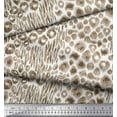 thumbnail image 3 of Soimoi Cotton Jersey Fabric Leopard Animal Skin Printed Craft Fabric by the Yard 58 Inch Wide, 3 of 3
