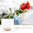 thumbnail image 6 of Clear Glass Display Case with Rose Globe Cover, Countertop Bell Jar for Decorative and Protective Display, 6 of 6