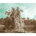 thumbnail image 3 of Kennion, Edward 17x15 Black Modern Framed Museum Art Print Titled - Serene Trees V, 3 of 5