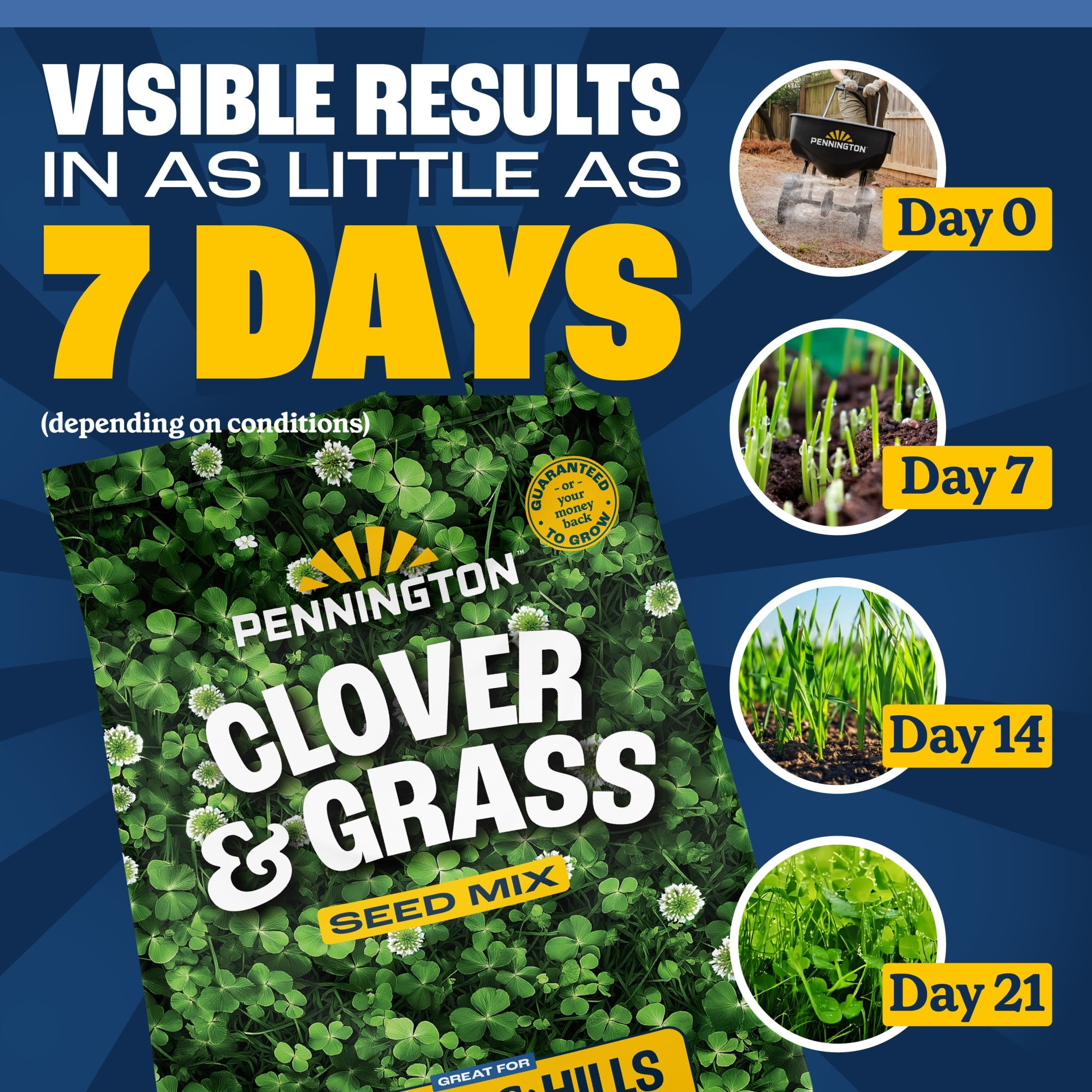 (2 pack) Pennington Smart Seed Clover & Grass Seed, Sun to Partial Shade, Drought Tolerant, Low-Maintenance Grass, 7 lb