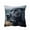 C, variant on Throw Pillow Covers 18x18 Inch, Decorative Square Pillowcases, Farmhouse Holiday Cushion Covers for Couch Sofa Living Room Bedroom Outdoor Home Decor