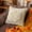 Beige, variant on Throw Pillow Covers 20x20 Inch, Soft Plush Pumpkin Decorative Square Pillowcases, Farmhouse Holiday Cushion Covers for Sofa Living Room Home Fall Halloween Thanksgiving Decor