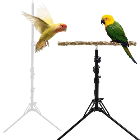 IFCOW 16-63 Inch Height Adjustable Bird Perch Stand, Natural Pepper Wood Parrot Perch Toy, Bird Training Perch Stand, Bird Stands for Small to Medium Bird