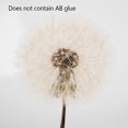 thumbnail image 1 of Plant Decoration DIY Craft Light Ornament Handmade Flower Ball Decoration, Natural Color Plant, 1 of 6