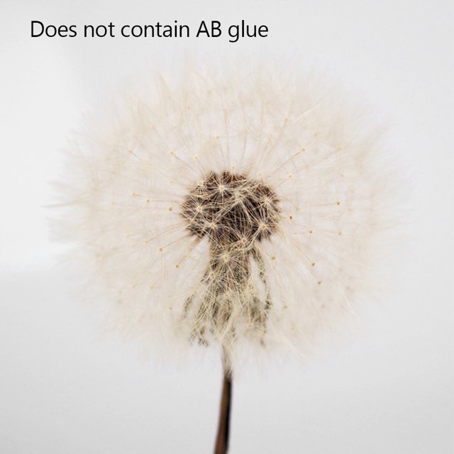 Plant Decoration DIY Craft Light Ornament Handmade Flower Ball Decoration, Natural Color Plant