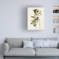 thumbnail image 3 of John James Audubon 'Small Green Crested Flycatcher' Canvas Art, 3 of 3