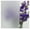 Frosted, variant on Baysoom RockRose 17.7 in x 78.7 in Cut Glass Privacy Window Film