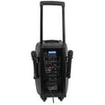 Rockville RAM12BT 12" Rechargable Powered 600W PA Speaker, 2 Mics