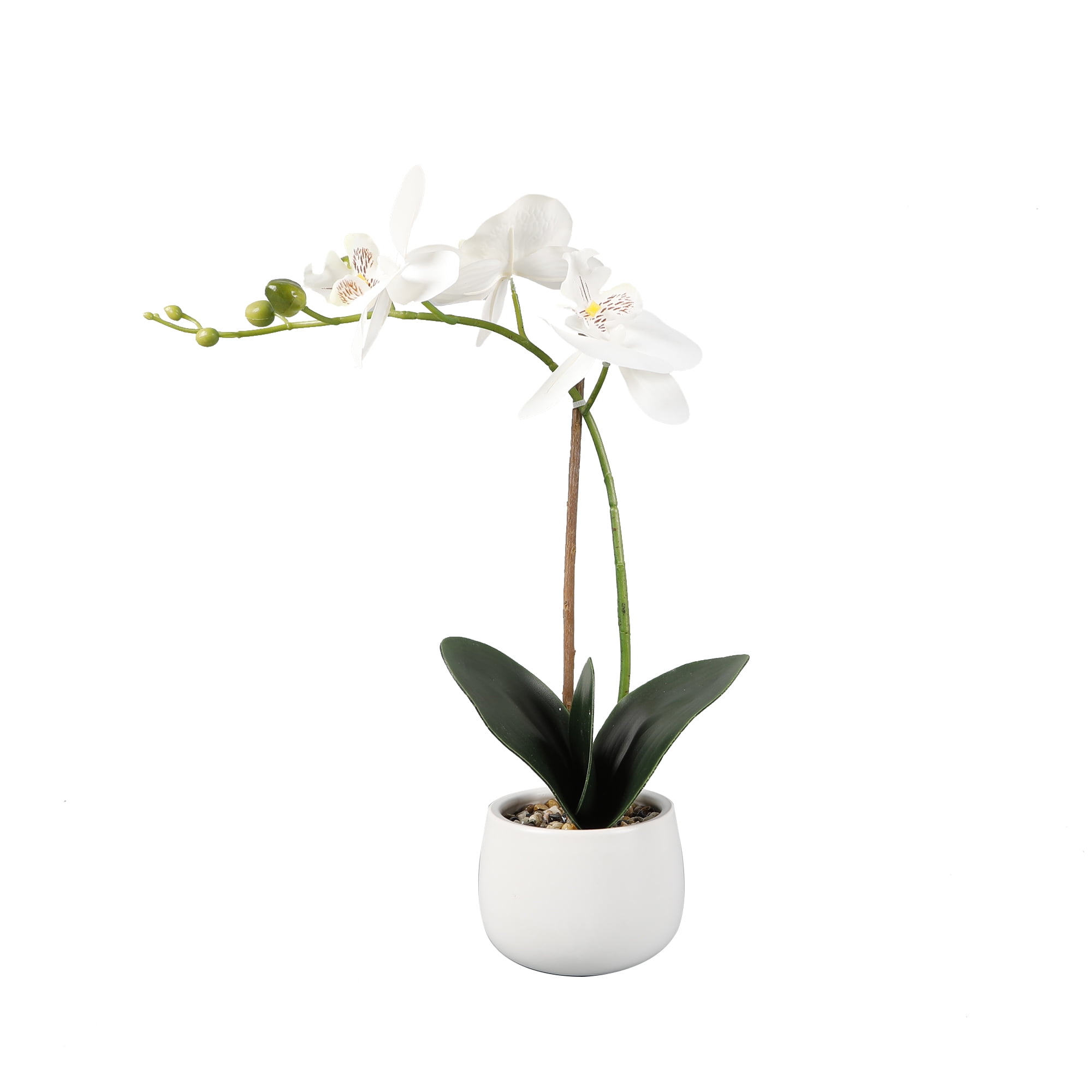 Better Homes & Gardens Artificial Rea...