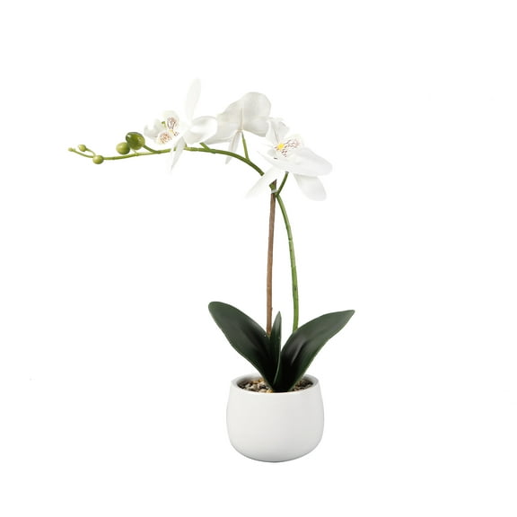 Better Homes & Gardens 15" Tabletop Artificial Real Touch Orchid Flowers Ceramic, White