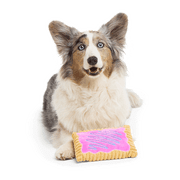 BARK Box Toaster Pup Pastry Squeaky Crinkle Plush Dog Toy