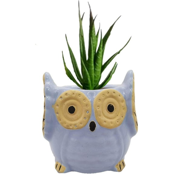 India Meets India Ceramic Planter, Owl Shaped [Purple - 3.5 inch] - Ceramic Flower Pot/Indoor/Outdoor Pot - by Awarded Indian Artisan