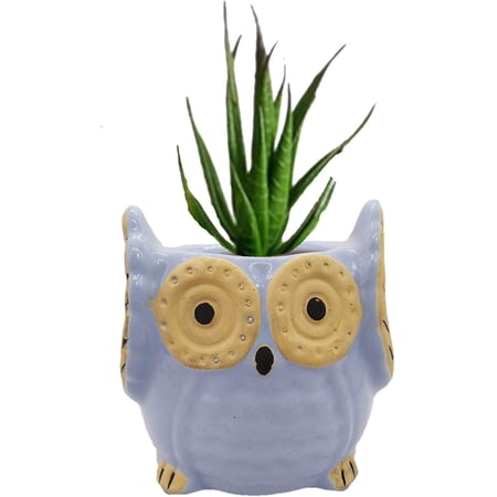 India Meets India Ceramic Planter  Owl Shaped [Purple - 3.5 inch] - Ceramic Flower Pot/Indoor/Outdoor Pot - by Awarded Indian Artisan