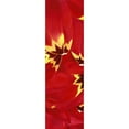 thumbnail image 3 of Poelstra-Holzhaus, Yvonne 10x24 Black Modern Framed Museum Art Print Titled - Red and Close to you, 3 of 5