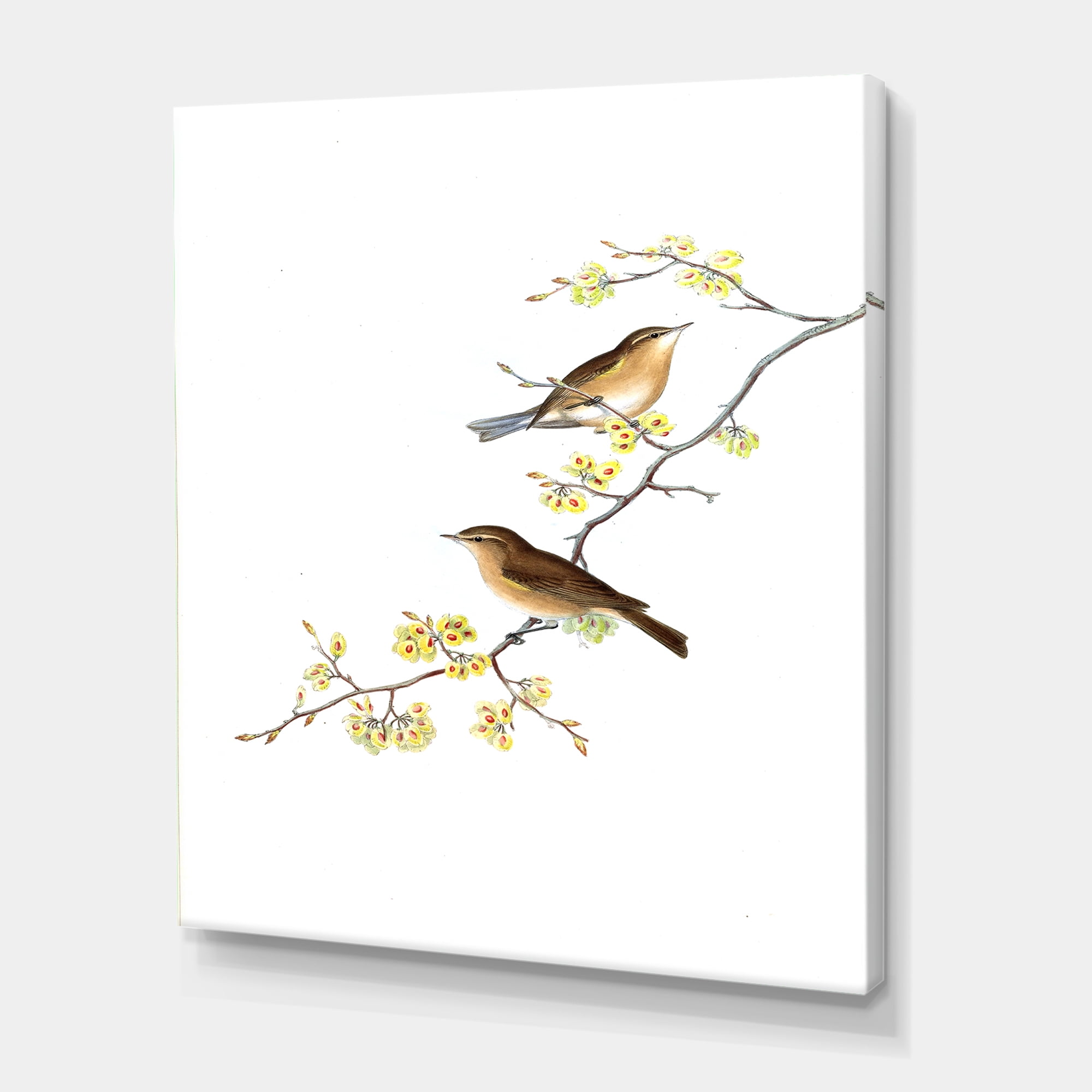 Designart ' Little Birds Sitting On The Tree Branches II ' Traditional Canvas Wall Art Print