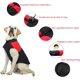thumbnail image 3 of Abrigo impermeable para perros de invierno, chaqueta térmica ropa para mascotas, chaleco para perros pequeños y medianos, chaleco para perros pequeños y medianos, algodón en otoño y clima frío 4xl Zefei Wu  9024735017820, 3 of 5