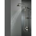 thumbnail image 2 of Delta Trinsic: Single-Setting Hand Shower, 2 of 2