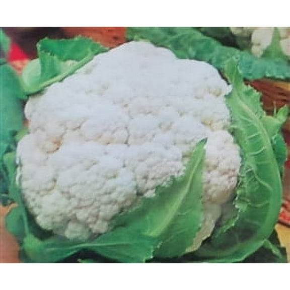 Cauliflower Early Snowball Seed - 1 Packet