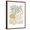 Brown Frame, variant on Art.com Under Sea Treasures V Gold Neutral Art Print by Michael Mullan, 12" x 16"