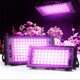 thumbnail image 5 of Indoor Plant Growing Lamp Full Spectrum LED Grow Light for Succulents Mini Bonsai, 5 of 5