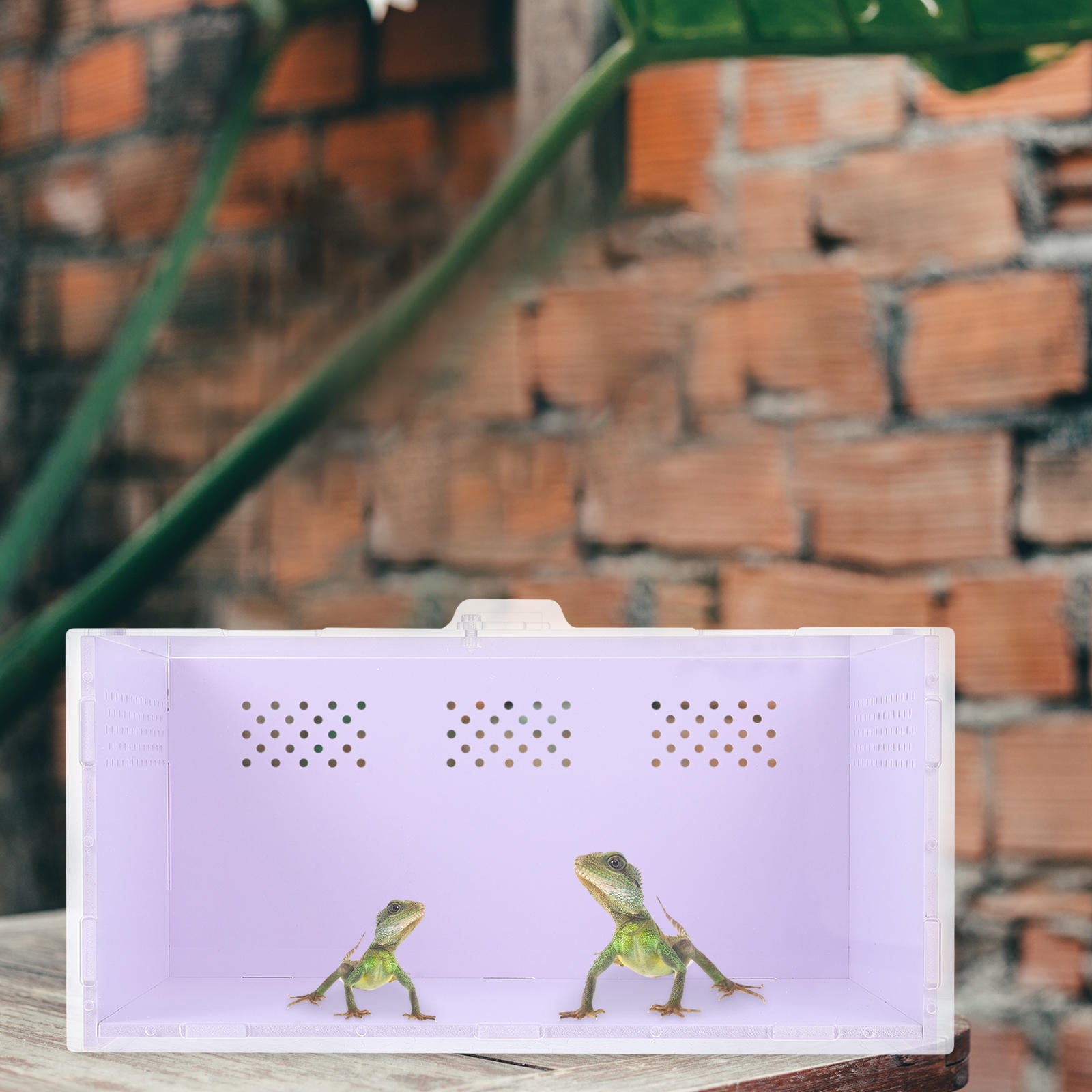 OFFIGAM White Acrylic Reptile Terrarium with Ventilation Holes for Safe, Comfortable, and Secure Care