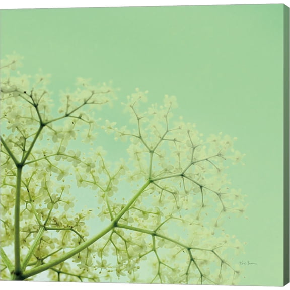 Cuckoo Flowers by Keri Bevan, Canvas Wall Art