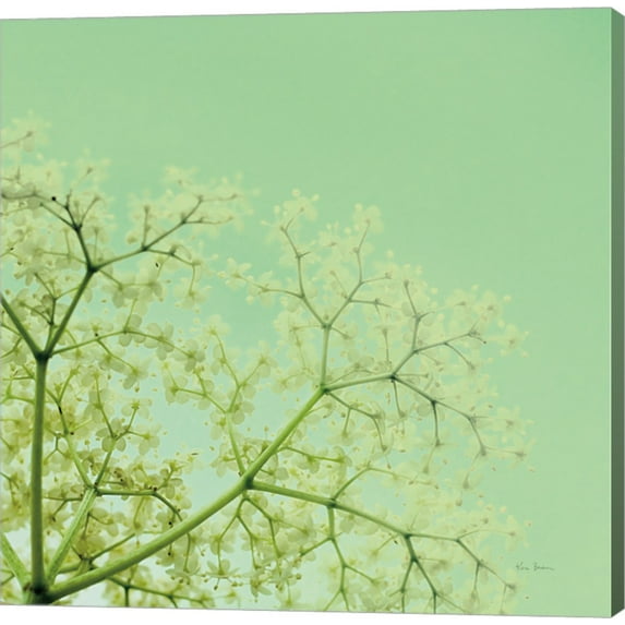 Cuckoo Flowers by Keri Bevan, Canvas Wall Art