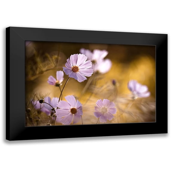 Bravin, Fabien 24x17 Black Modern Framed Museum Art Print Titled - The Lion King