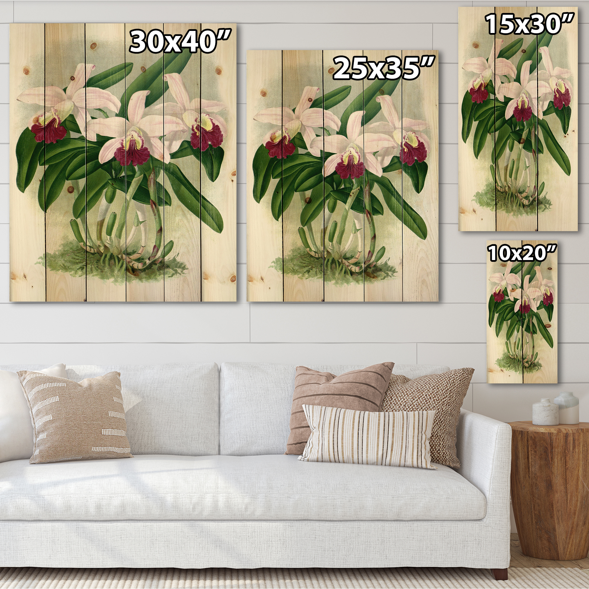 Designart 'White Vintage Orchid Flower I' Traditional Print on Natural Pine Wood
