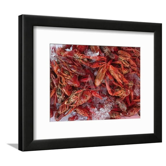 Crayfish in Bergens Fish Market, Norway, Framed Art Print Wall Art by Russell Young Sold by Art.Com